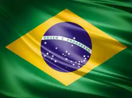 Quais os significados das cores da Bandeira do Brasil?