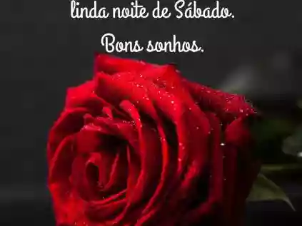 Veja Mensagens de Boa Noite com Flores