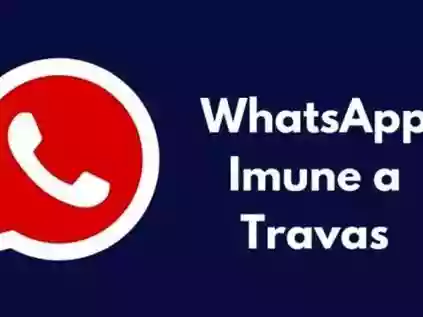  Veja como funciona o WhatsApp Imunes e os riscos do APK