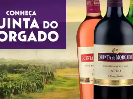 Vinho Quinta do Morgado: Descobrindo o Sabor e a Tradição Alentejana