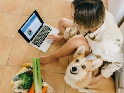 Pet Shops Modernas: Elegância e Cuidado para Seus Animais de Estimação