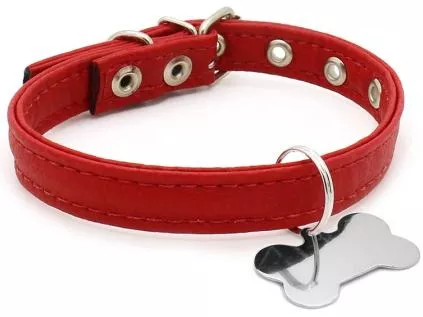 Guia Completo sobre Coleiras para Pets