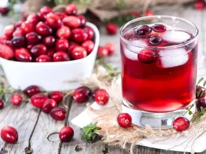 Cranberry: Conheça os Benefícios e Como Usar Essa Fruta no Seu Dia a Dia