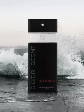 Perfume Silver Scent: Por Que Ele se Tornou o Queridinho da Noite?