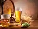 Cerveja artesanal: o que é, tipos e por que é diferente?
