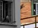 A Mulher da Casa Abandonada: afinal, do que se trata o podcast que virou fenômeno na web?