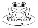 Sapo para colorir: confira algumas imagens