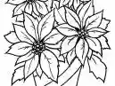 Flores para colorir: veja desenho para baixar!