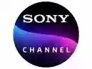 Descobrindo o Universo da Programação Sony