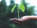Cursos de Sustentabilidade: Descubra Como Aprender a Cuidar do Planeta e se Destacar no Mercado